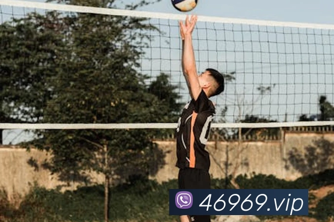 tyc44118太阳成APP 封面图